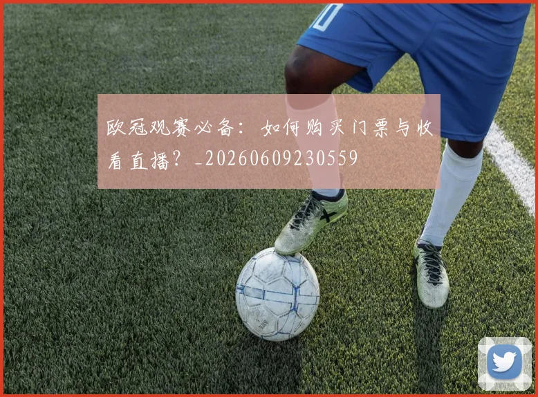 欧冠观赛必备：如何购买门票与收看直播？_20260609230559
