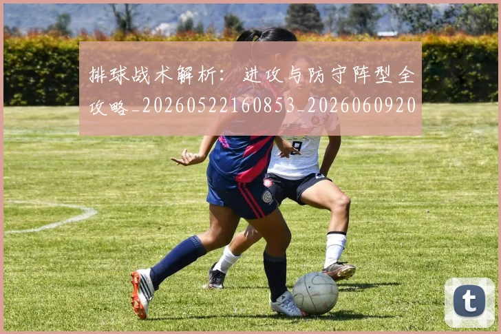 排球战术解析：进攻与防守阵型全攻略_20260522160853_20260609200914