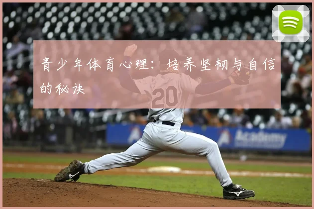 青少年体育心理：培养坚韧与自信的秘诀
