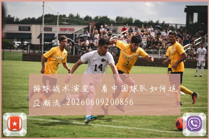 排球战术演变：看中国球队如何适应潮流_20260609200856